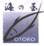 海の玉及圖 OTORO