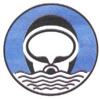 潛水員頭部與水流波動圖