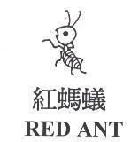 紅螞蟻及圖 RED ANT