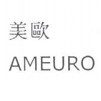 美歐 AMEURO