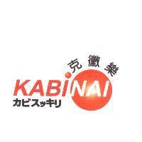 克黴樂 KABINAI カビスッキリ