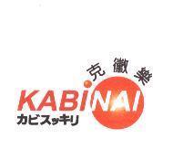 克黴樂 KABINAI カビスッキリ