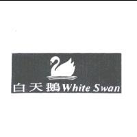 白天鵝 White Swan 及圖