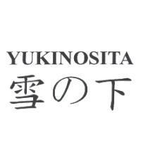 雪の下 YUKINOSITA