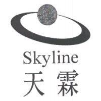 天霖及圖 Skyline