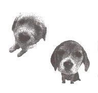 冠峻貿易標章(九)