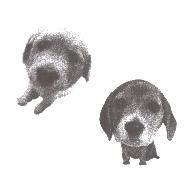 冠峻貿易標章(九)