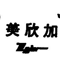 美欣加 MAJOR