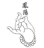 鳳陽及圖