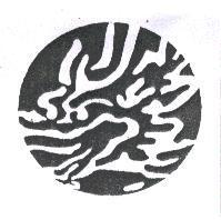 龍頭設計圖