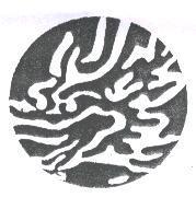 龍頭設計圖