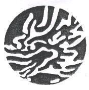 龍頭設計圖