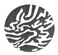 龍頭設計圖