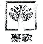 嘉欣及圖