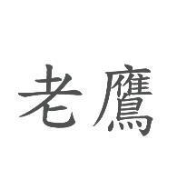 老鷹