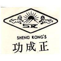 正成及圖 SHENG KONG'S
