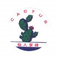 仙人掌 CACTUS 及圖