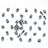 漢軒標章