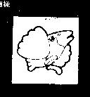 雲雀圖形