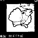 雲雀圖形