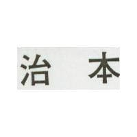 治本