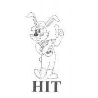 哈佛 HIT 及圖