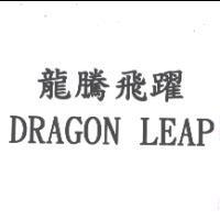 龍騰飛躍 DRAGON LEAP