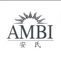 安氏 AMBI 及圖