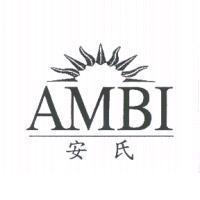 安氏 AMBI 及圖
