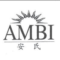安氏 AMBI 及圖