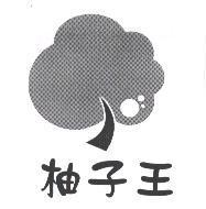 柚子王及圖