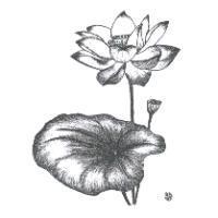蔣惠珠標章
