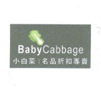小白菜 Baby Cabbage 及圖