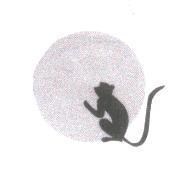 猴圖