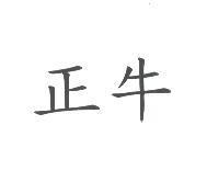 正牛