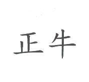 正牛