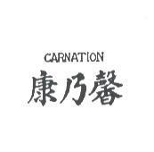康乃馨 CARNATION