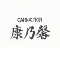 康乃馨 CARNATION