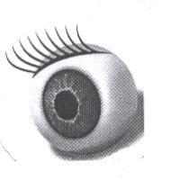 眼球圖形