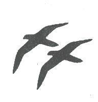 TWO BIRDS LOGO