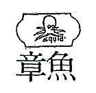 章魚及圖 SQUID 