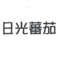 日光蕃茄