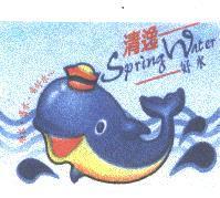 清逸 Spring Water 及圖