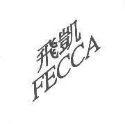 飛凱 FECCA