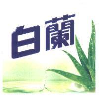白蘭及圖