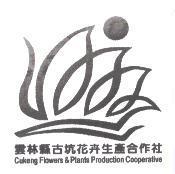 雲林縣古坑花卉生產合作社 Cukeng Flowers& Plants Production Cooperative 及圖