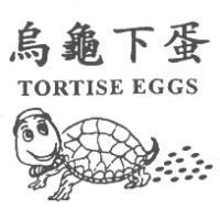 烏龜下蛋及圖 TORTISE EGGS