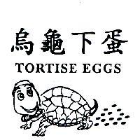 烏龜下蛋及圖 TORTISE EGGS