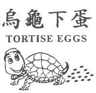 烏龜下蛋及圖 TORTISE EGGS