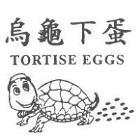 烏龜下蛋及圖 TORTISE EGGS
